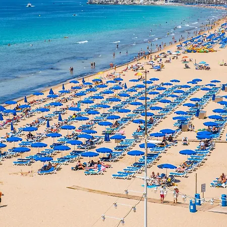 Torre Principado 5-e Levante